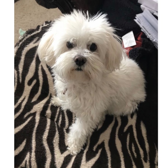 WELCOME TO MY CLOSET - Picture 7 of 8